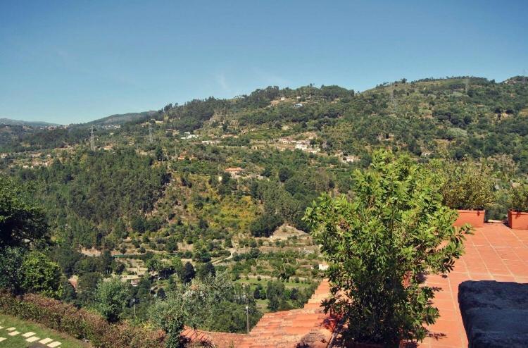 Villa Quinta Do Freixieiro Cinfães Exterior foto
